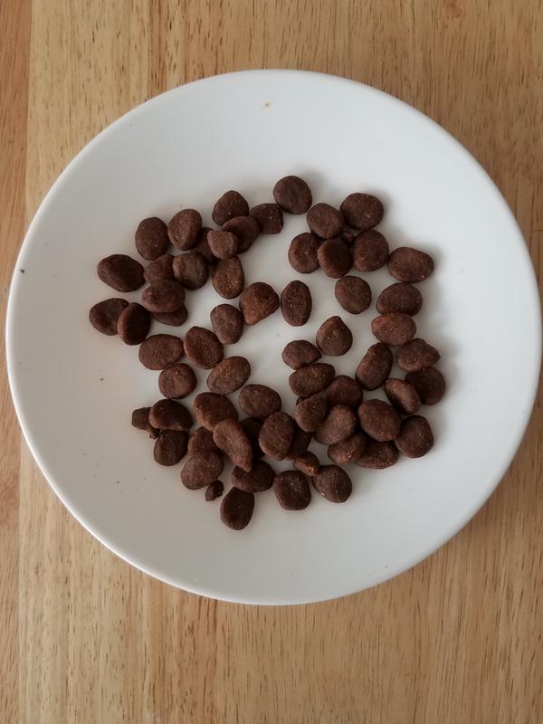Thức ăn chó ORIJEN ORIGINAL [Bao nguyên seal] (Grain free)