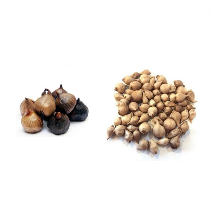 0.5kg Tỏi Cô Đơn BÒ ĐỘI NÓN