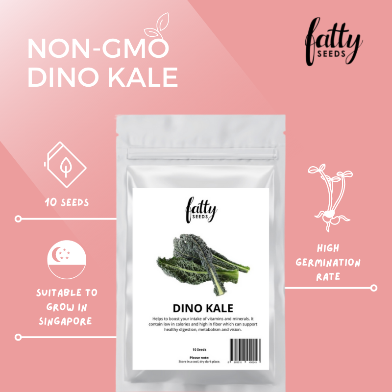 Fatty Seeds Dino Kale Lazada Singapore