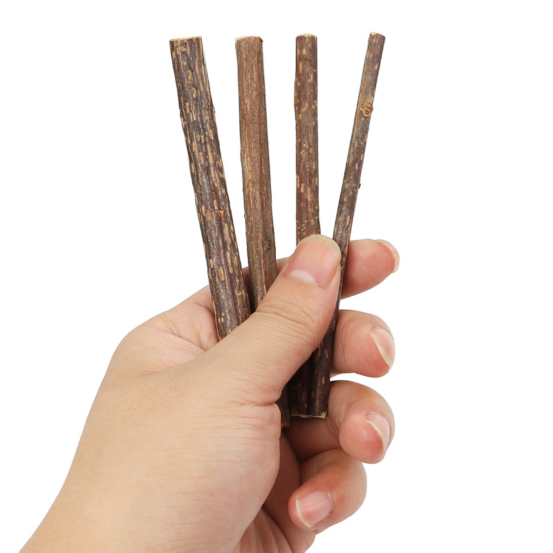 Que Gỗ Catnip Bạc Hà Cho Mèo Gặm Trắng Răng