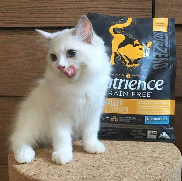 [Chiết 500G] Hạt NUTRIENCE SUBZERO (GRAIN FREE) Cho Mèo Mọi Lứa Tuổi - [Nông Trại Thú Cưng]