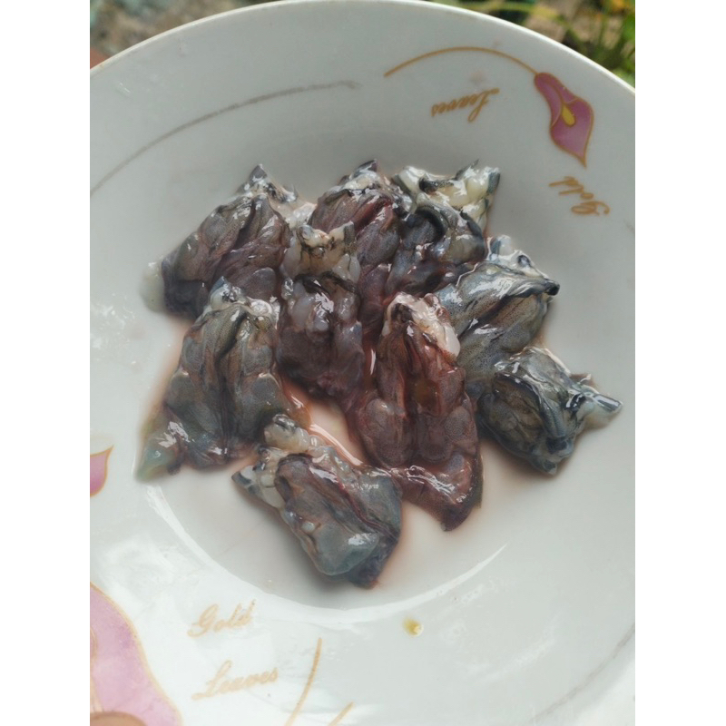 ĐẦU TÔM SÚ TƯƠI 1kg (giao tphcm)