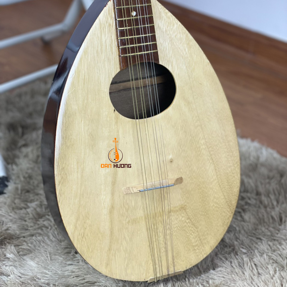 Đàn Mandolin