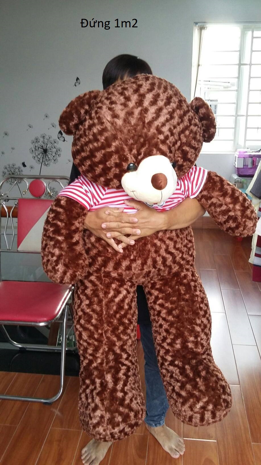 Gấu bông teddy size 1m85-1m9