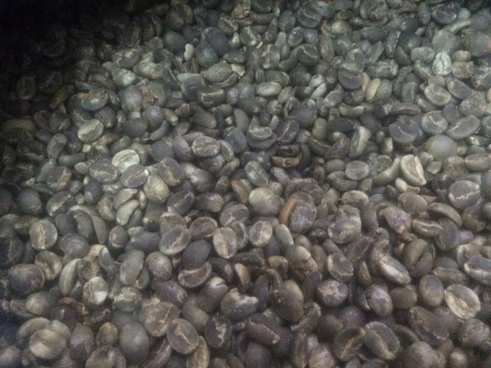 AFE robusta ARABICA nhân 500g ( hạt sống)