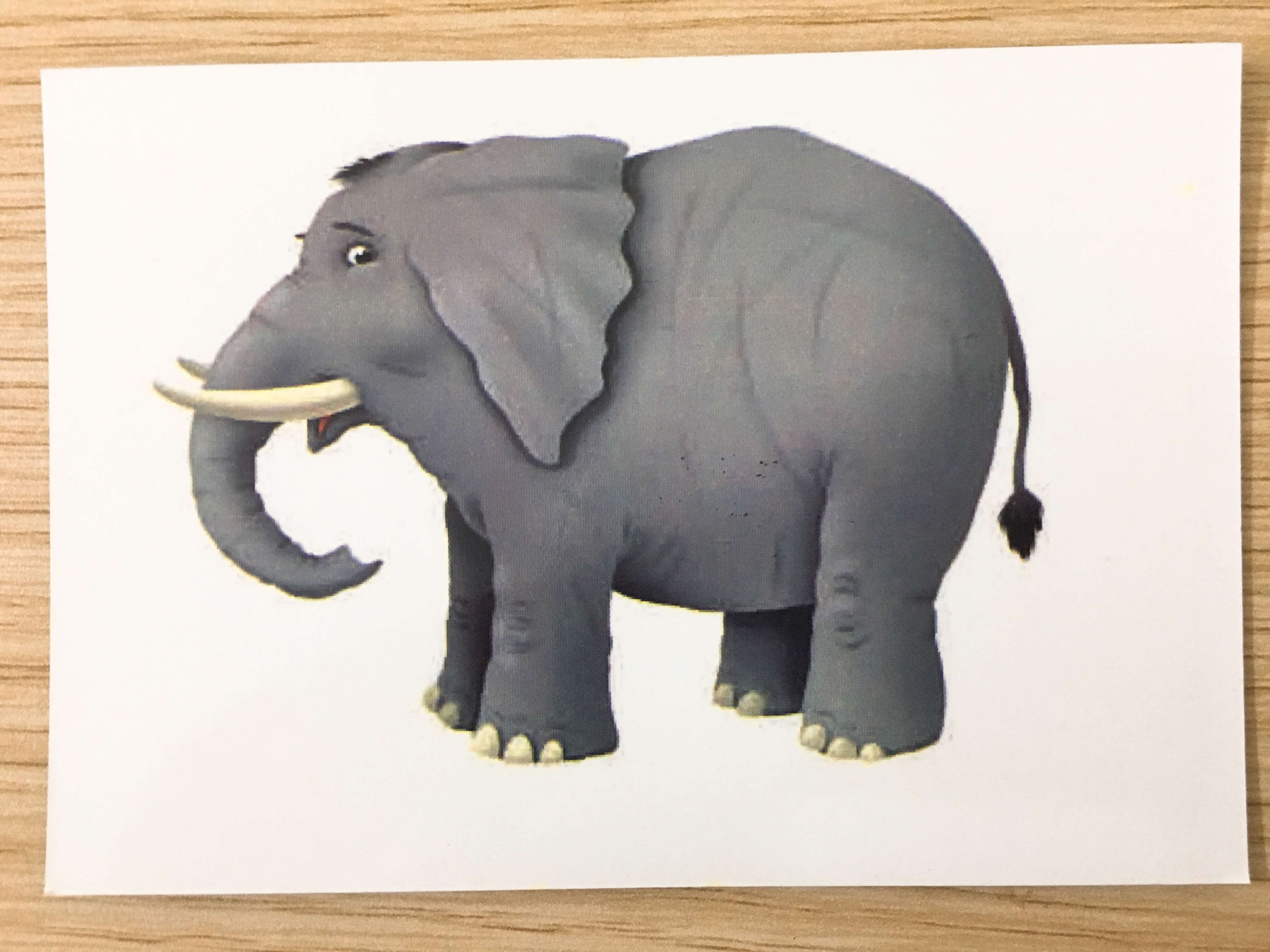 [Flashcards] Thẻ Oxford Phonics World level 1,2