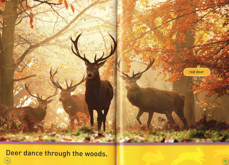 National Geographic Kids level Pre-reader 20 quyển