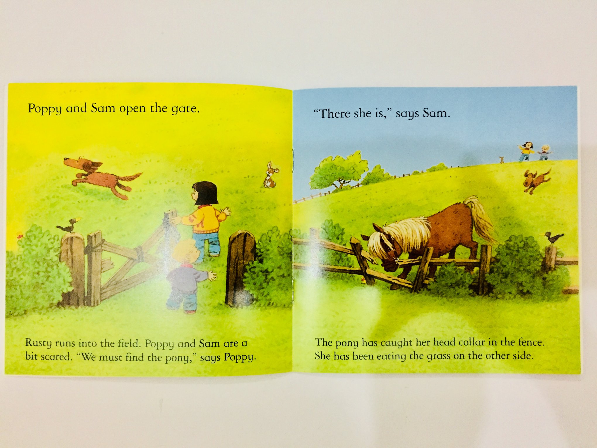 Usborne Farmyard Tales 20 quyển