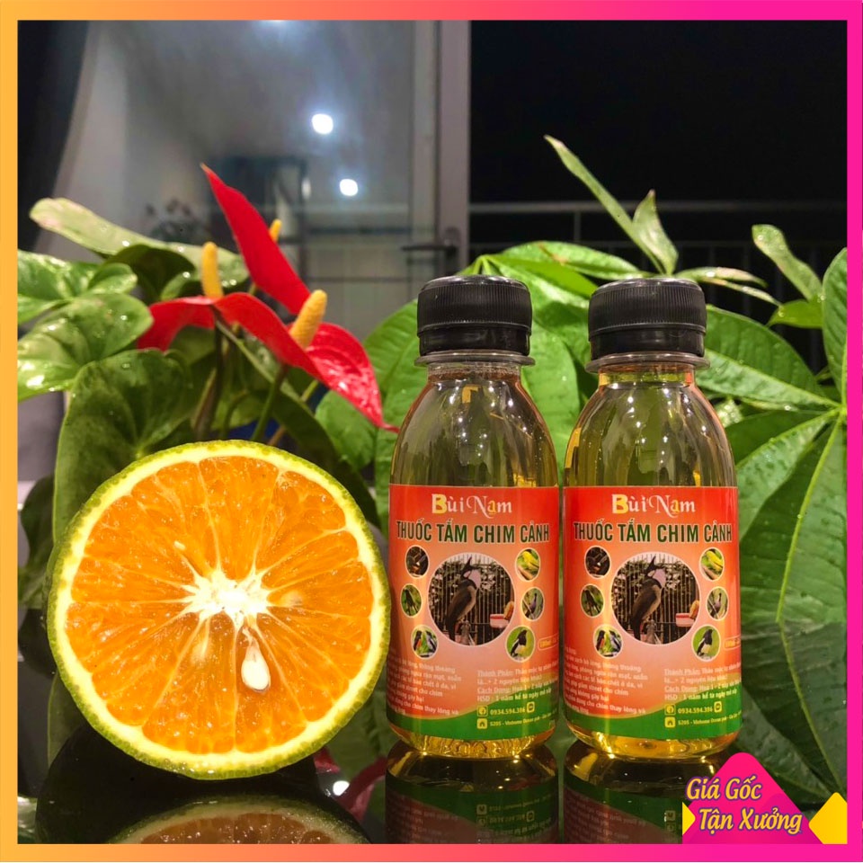 Nước tắm chim cảnh bùi nam 100ml - chuyên cho chim cảnh, thi đấu chính hãng an toàn hiệu quả