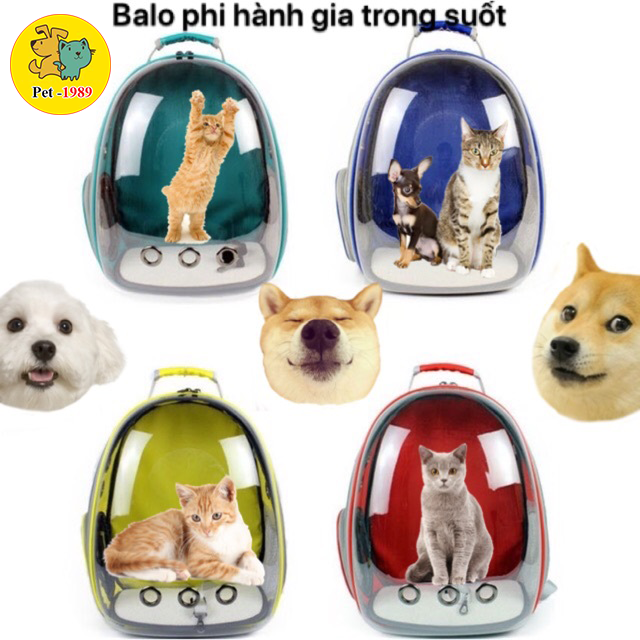 Balo Trong Suốt Vận Chuyển Chó Mèo Taotaopet