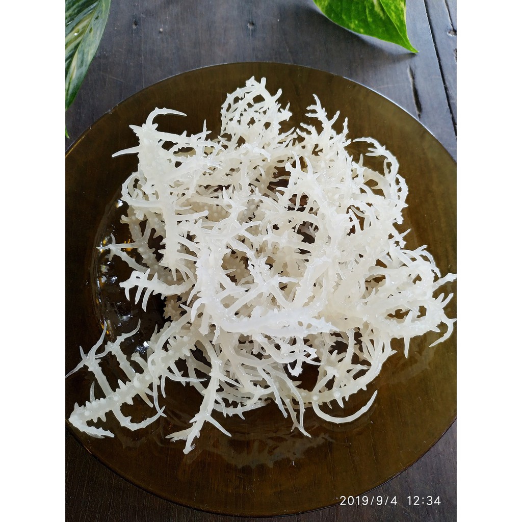 [HCM]Rong Sụn (Rong Biển Trắng) Phan Rang 500G