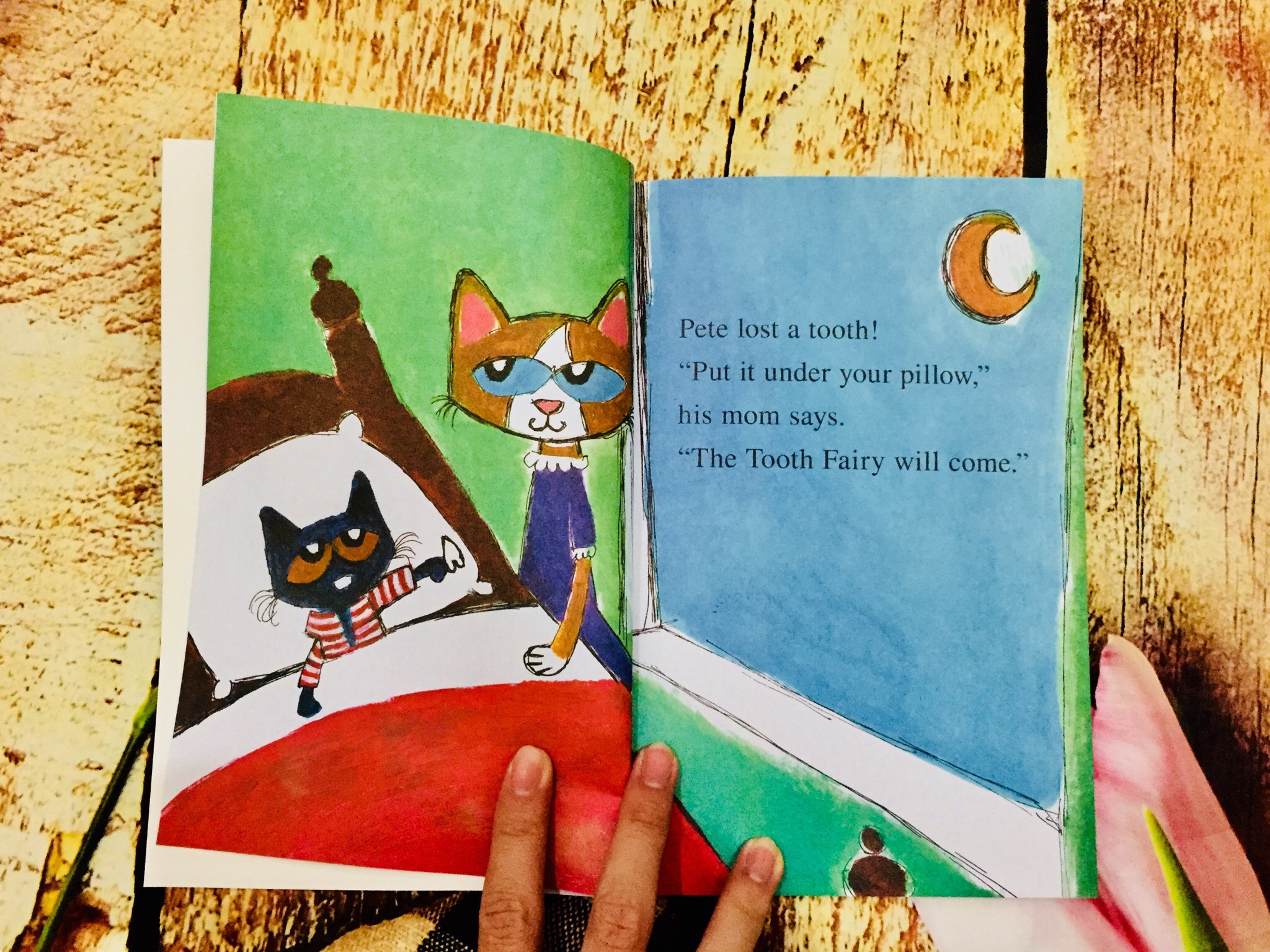 I Can Read Pete The Cat 28q
