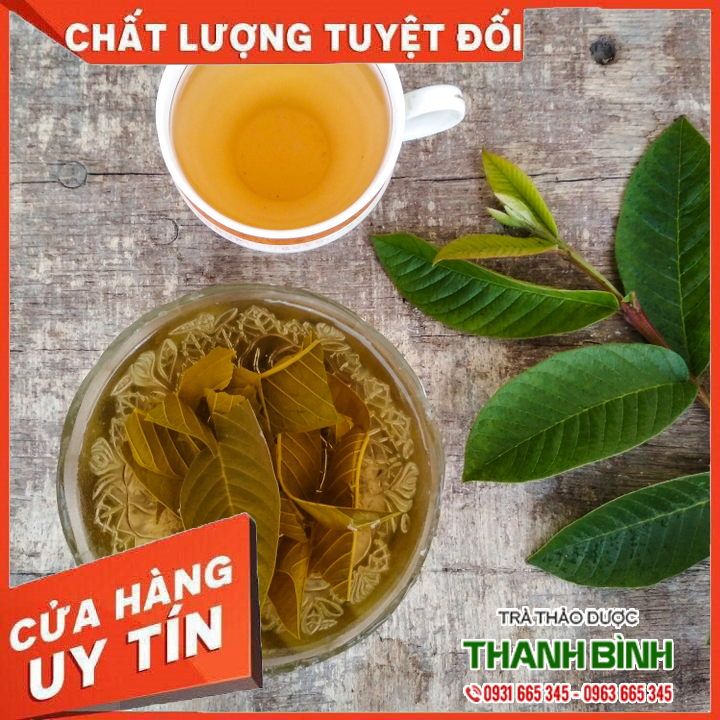 Lá ổi 100g - hàng công ty thảo dược thanh bình
