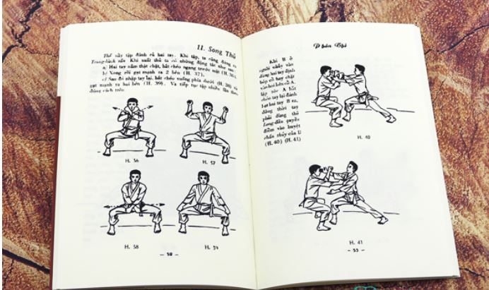 Bắc Phái Tây Sơn