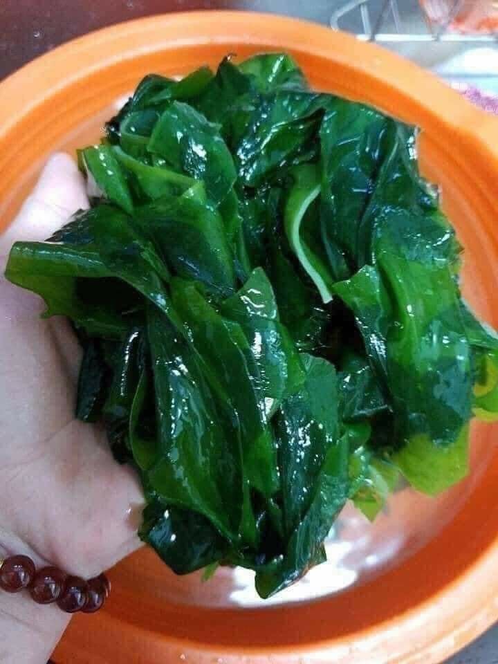 Rong Biển Khô Daesang Hàn Quốc 25g