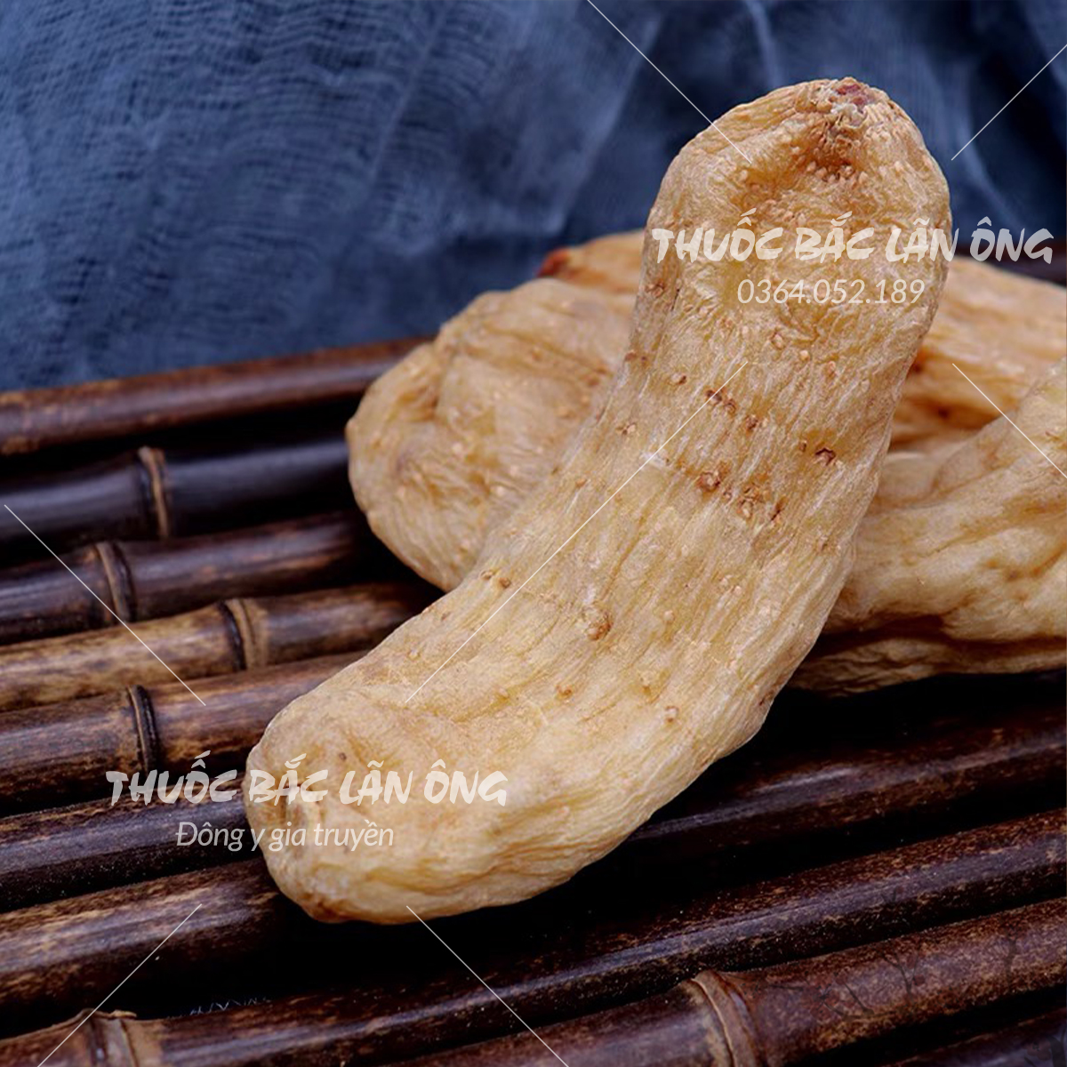 Củ thiên ma khô 100g (Hàng loại 1, khô, to đẹp)