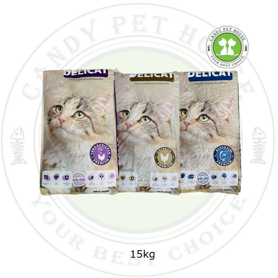 Deli cat dry cat 2024 food