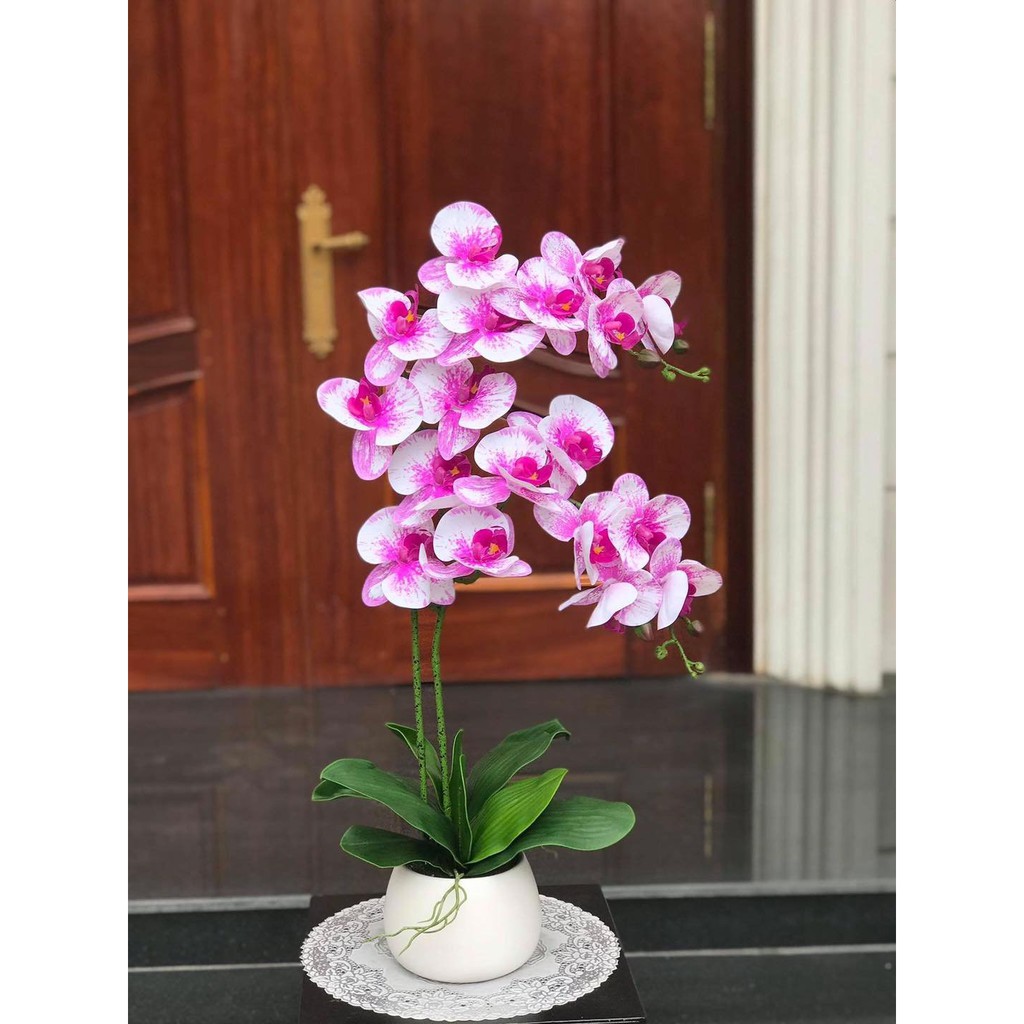 Lá Lan, Lá Hồ Điệp Chất Liệu Cao Su