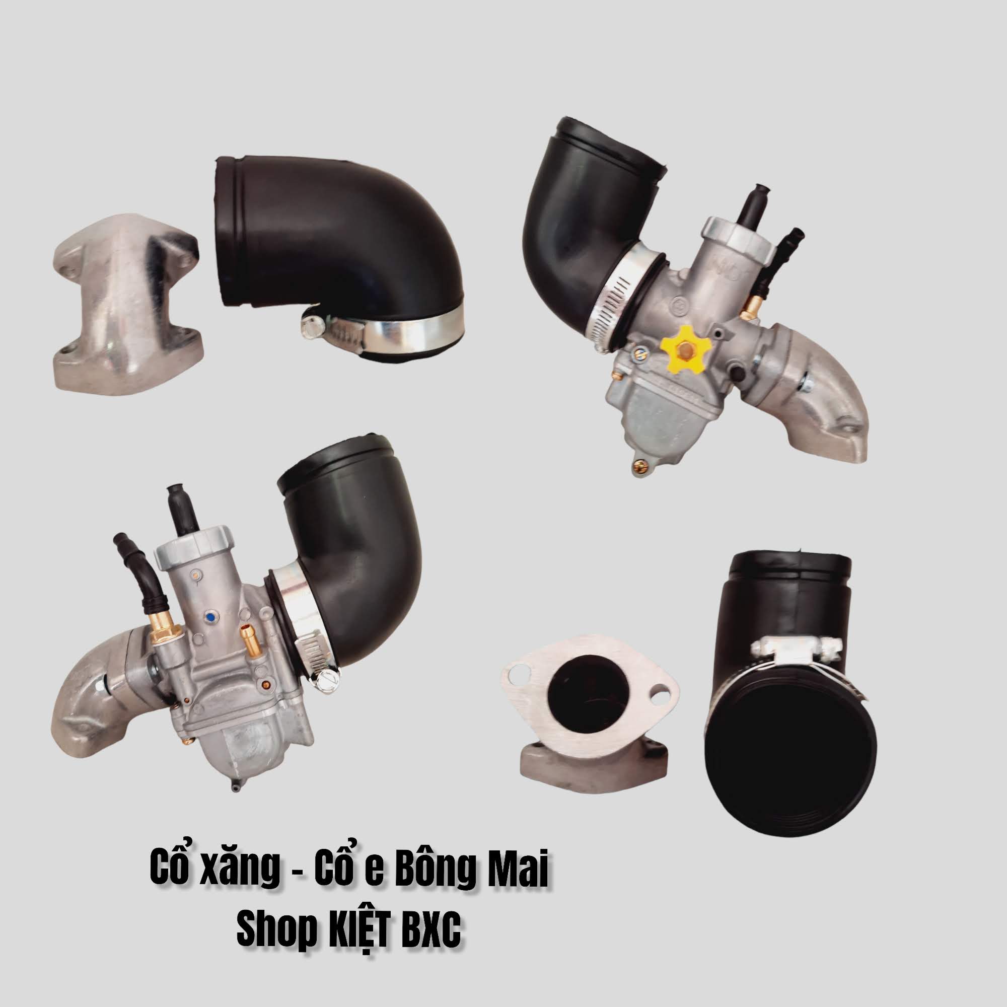 CỔ XĂNG + CỔ E BÔNG MAI