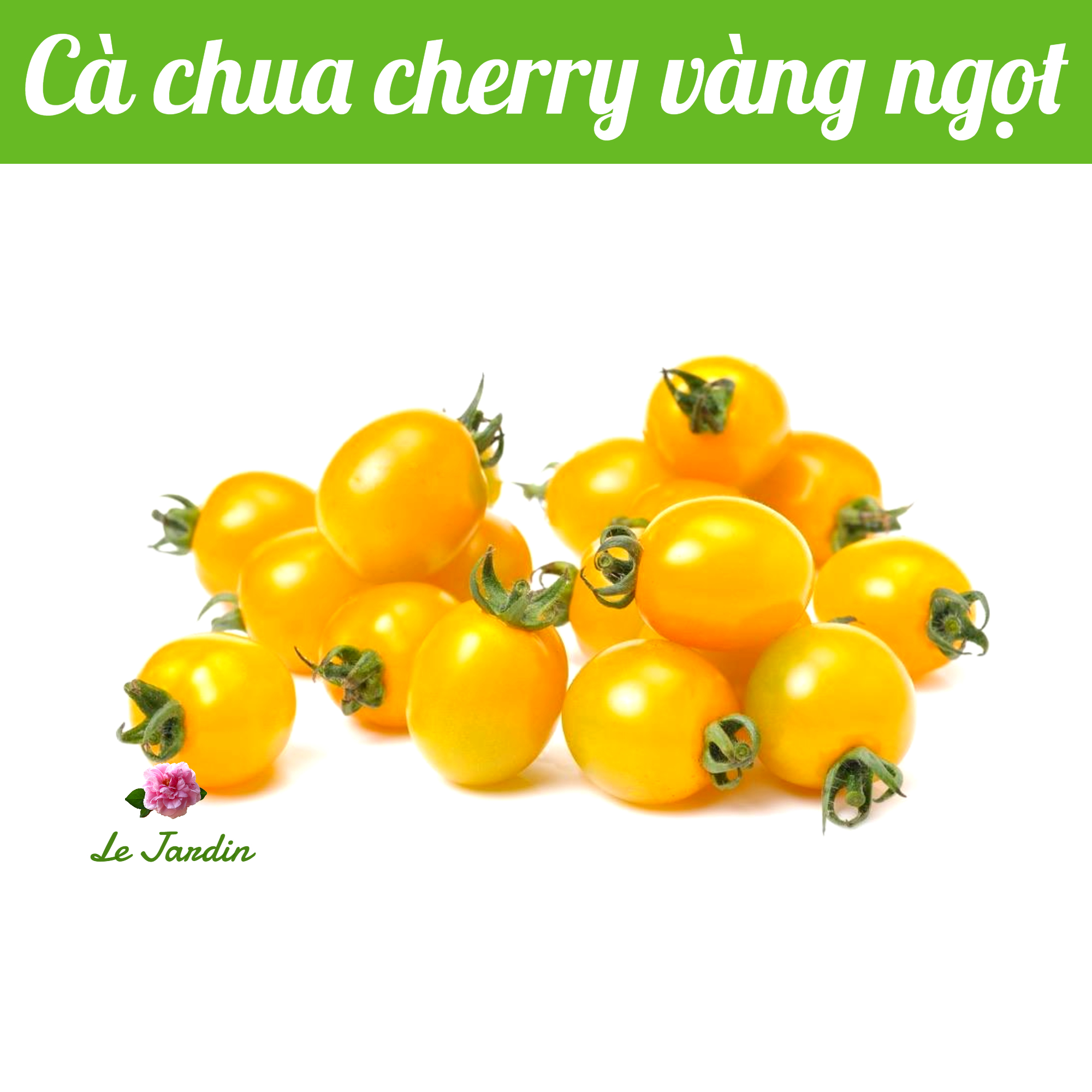 Orange Cherry Tomato Seeds 5 seeds package