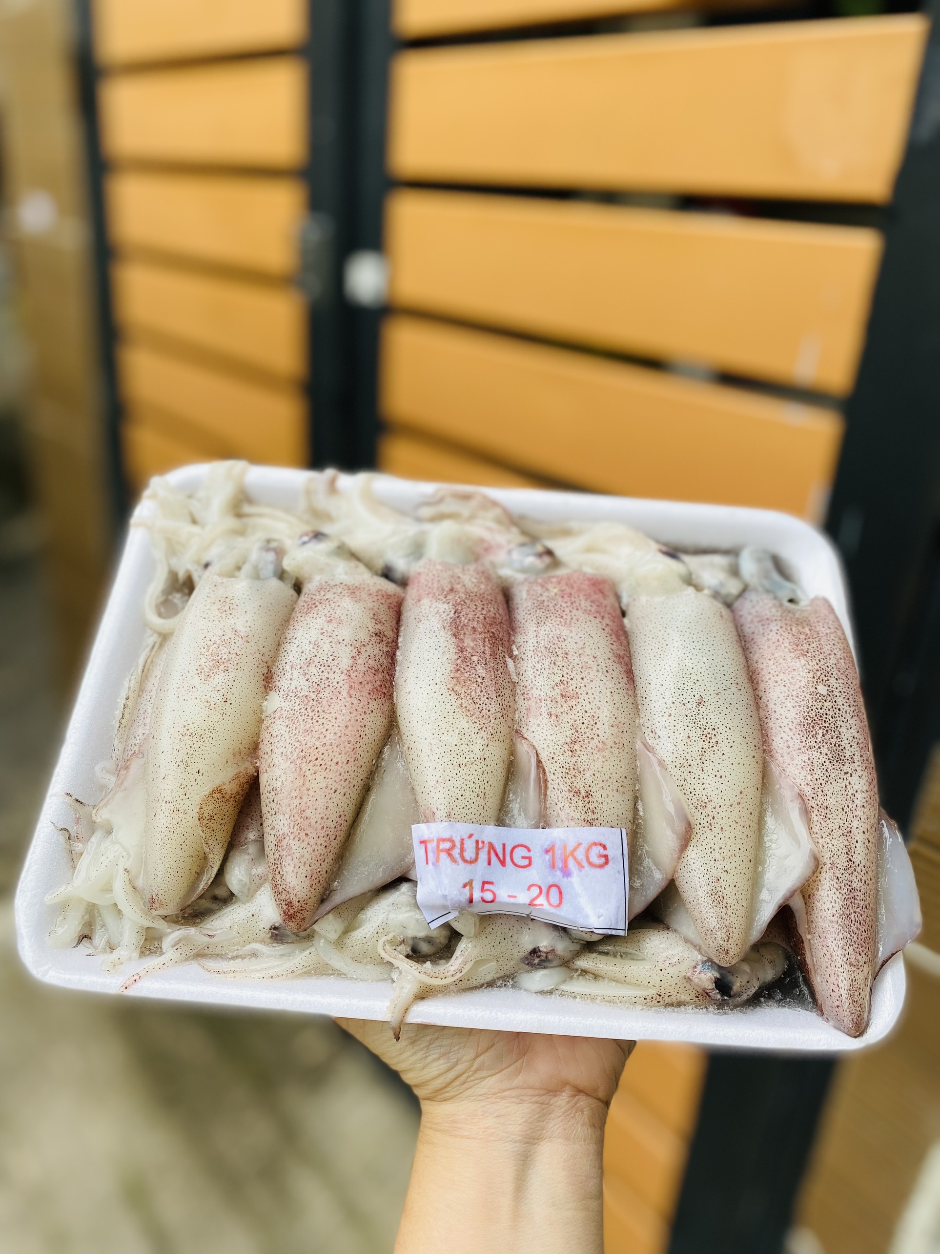 [GIAO NHANH 2H HCM] Giá sỉ 1kg Mực trứng cà mau