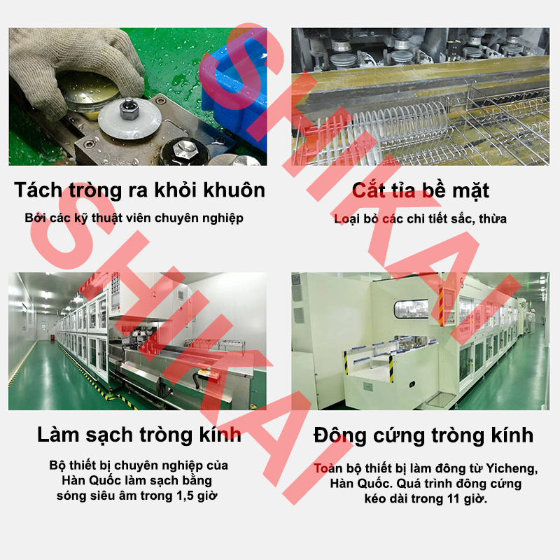 Tròng kính râm Shikai [ KHÔNG CÓ ĐỘ ]