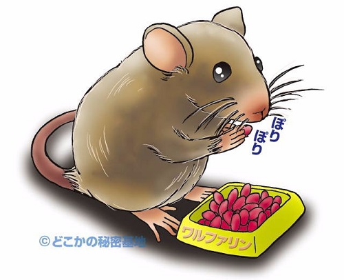 Kẹo diệt chuột ARS Rat Killer Thái Lan 80GR