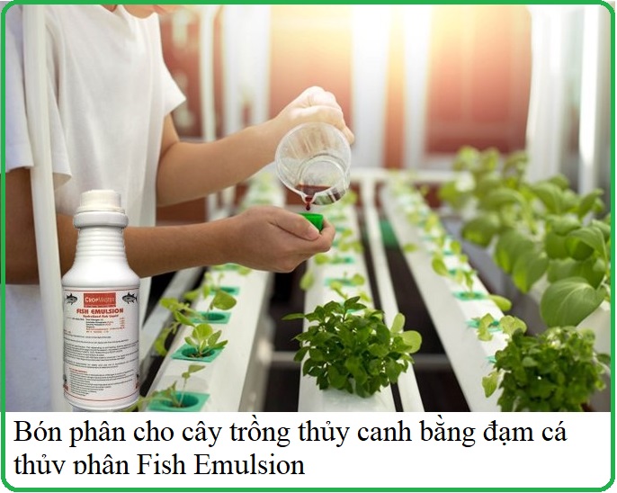 Phân cá (Đạm cá) cô đặc Mỹ Fish Emulsion 500ml dùng cho mọi cây trồng