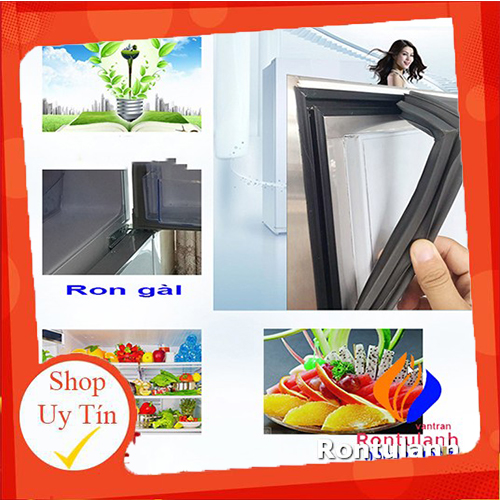 Ron cửa tủ lạnh Panasonic Model NR-BJ176