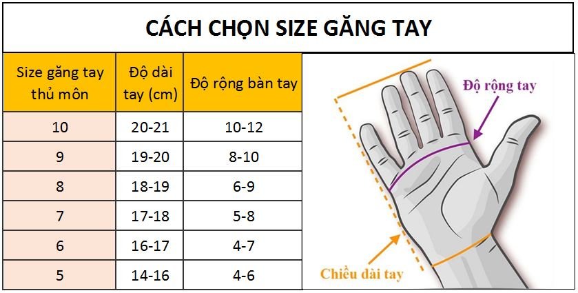 Găng Tay Thủ Môn HOsoccer Primary Protek Flat Race SMU