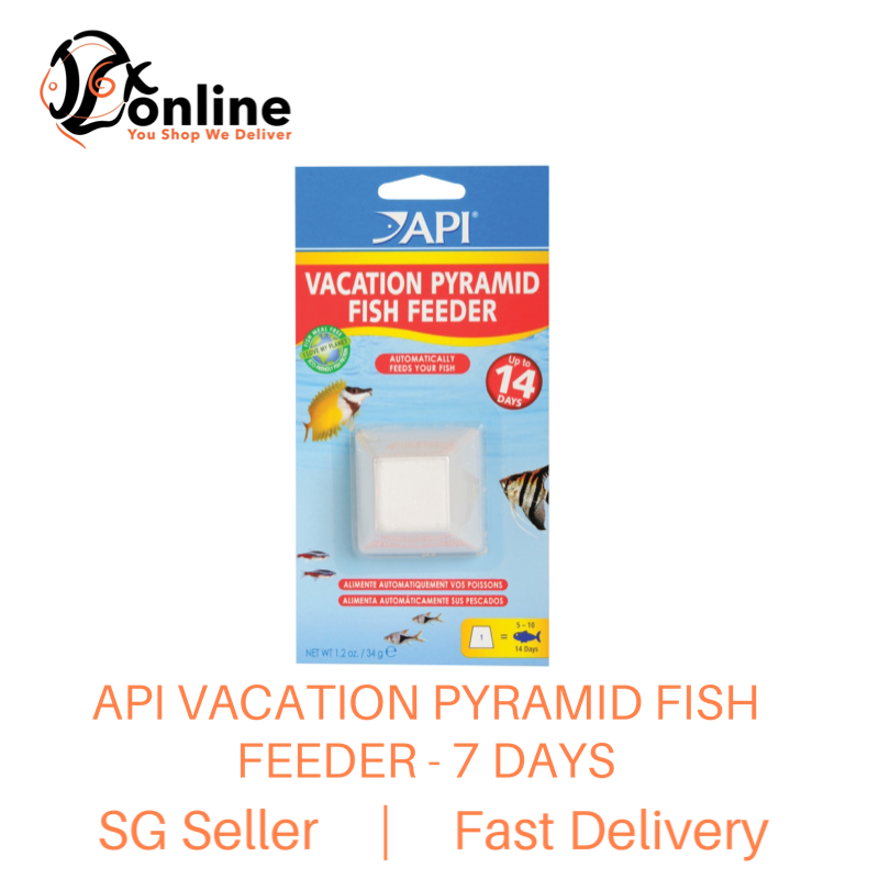 vacation pyramid fish feeder