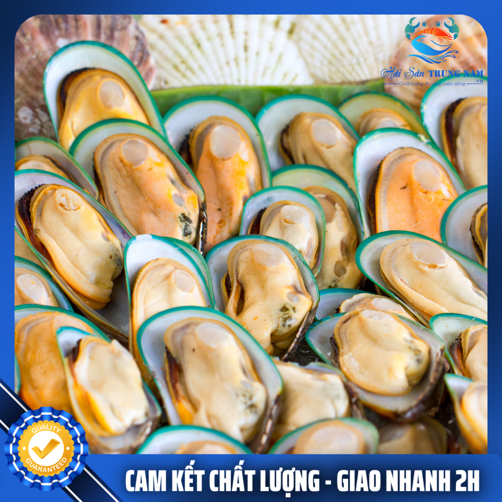 Vẹm Nửa Mảnh Nhập Khẩu Túi 1KG