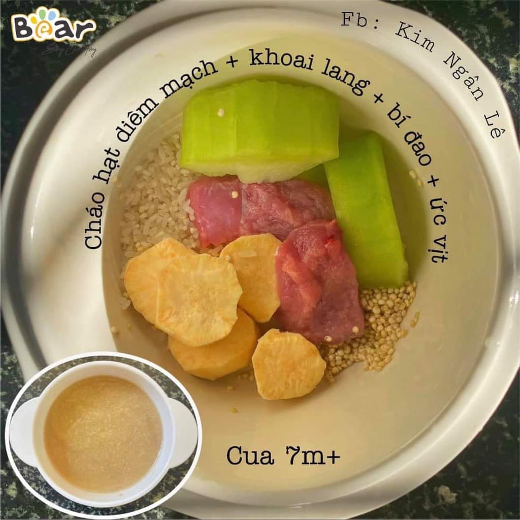 Nồi nấu cháo chậm, cách thủy và ninh hầm Bear 0,8L