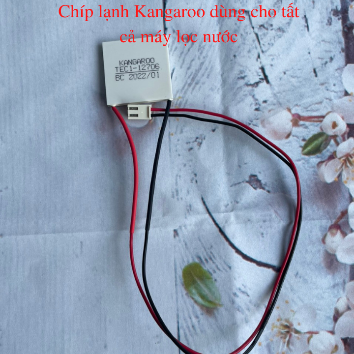 Sò chíp lạnh Kangaroo TEC1-12706