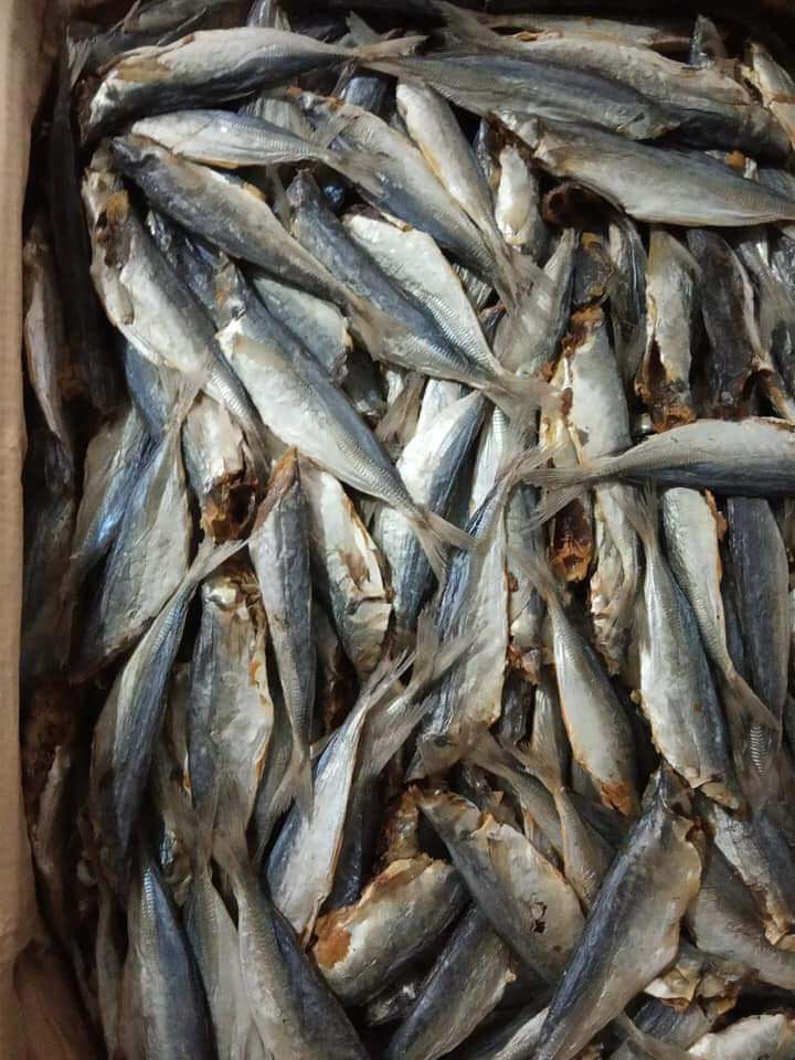 1KG CÁ NỤC KHÔ Vị hơi mặn