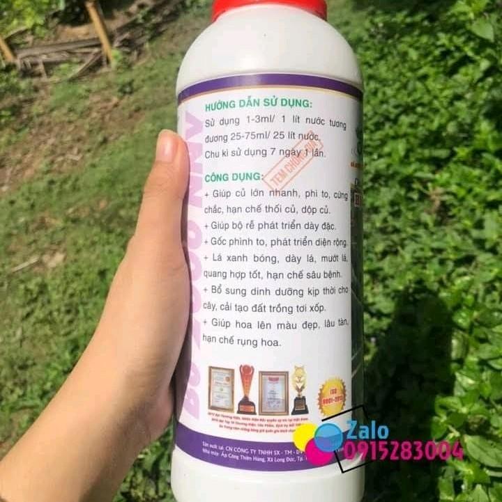 Max root - To Củ Sứ