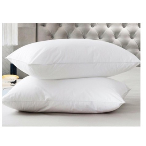 [HCM]Combo 2 ruột gối bông hạt 40x60