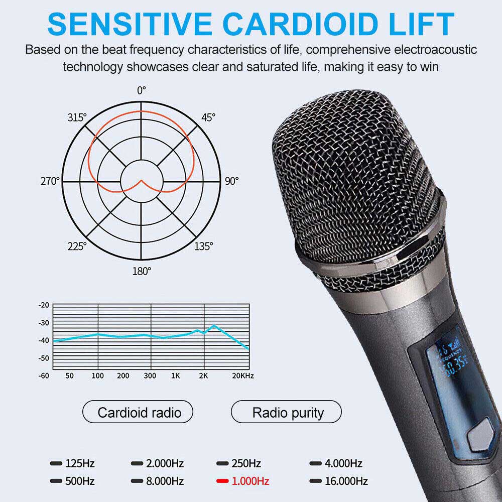 [On Sale] Wireless Microphone UHF Professional Handheld Mic System Receiver for Karaoke