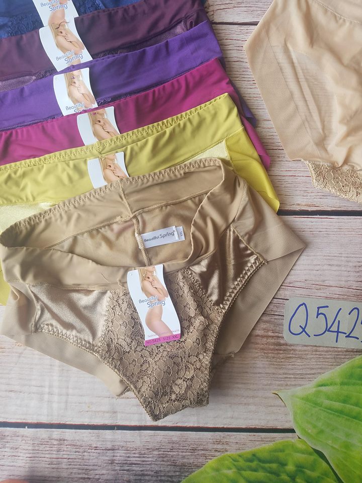QUẦN LÓT NỮ LƯNG CAO PHỐI REN BEAUTIFUL SPRING 5425
