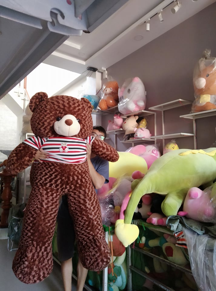 Gấu bông teddy size 1m85-1m9
