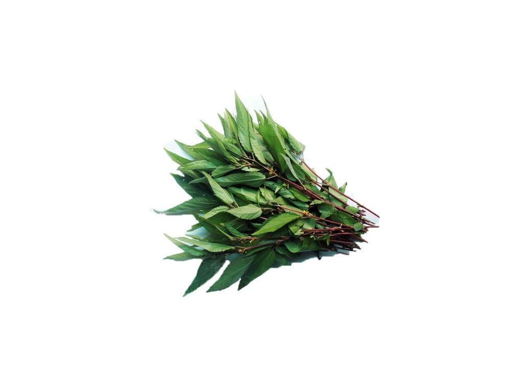 Hạt giống đay đỏ (lá nhỏ, giống bản địa, ăn ngon)