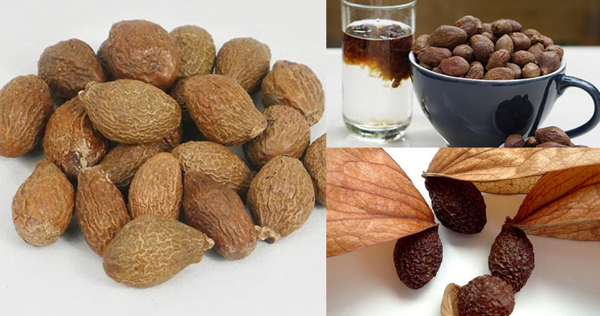 500g Hạt Đười Ươi Phan Rang Siêu Ngon-đồ ăn vặt