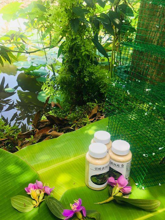 Mồi dụ ếch ( Cao cấp) Siêu nhạy loại mới