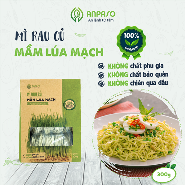 Mì Rau Củ Hữu Cơ Organic ANPASO 300g