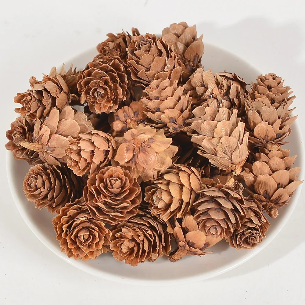 10/50pcs Natural Mini Pine Nuts Artificial Fruit Vegetable For Diy Home Wedding Decoration Tree Decoration