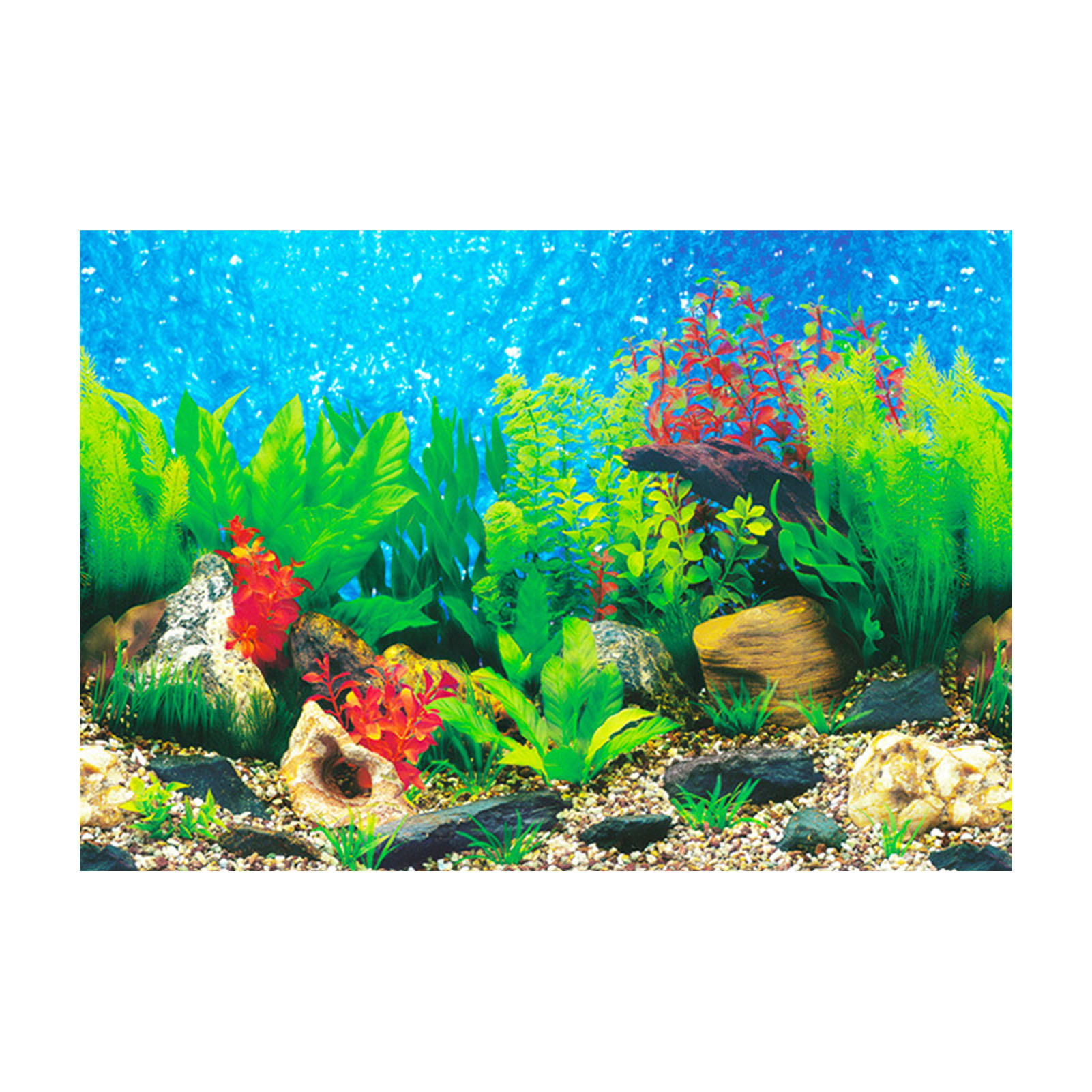 Dream Aquarium Screensaver 1.293 - Màn hình chờ Bể cá