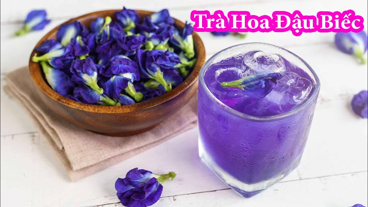 trà hoa đậu biếc