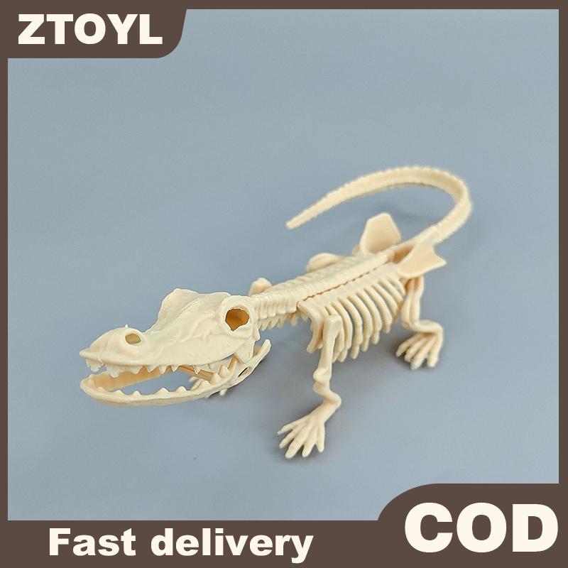 ZTOYL 1 bộ đồ chơi trẻ em lắp ráp tự làm bộ xương hóa thạch khủng long Jurassic mosasaurus Tyrannosaurus Bộ sưu tập nhân vật hành động mô hình sáng tạo