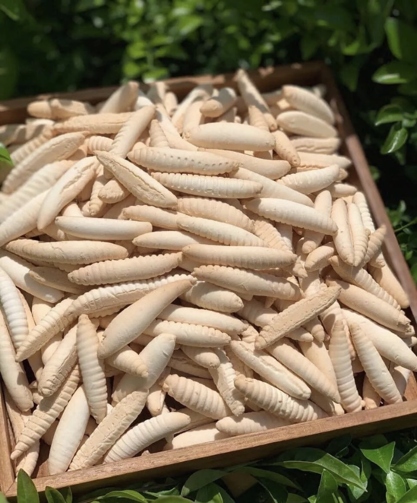Bánh đuông dừa ( sùn sữa) loại ngon 500g