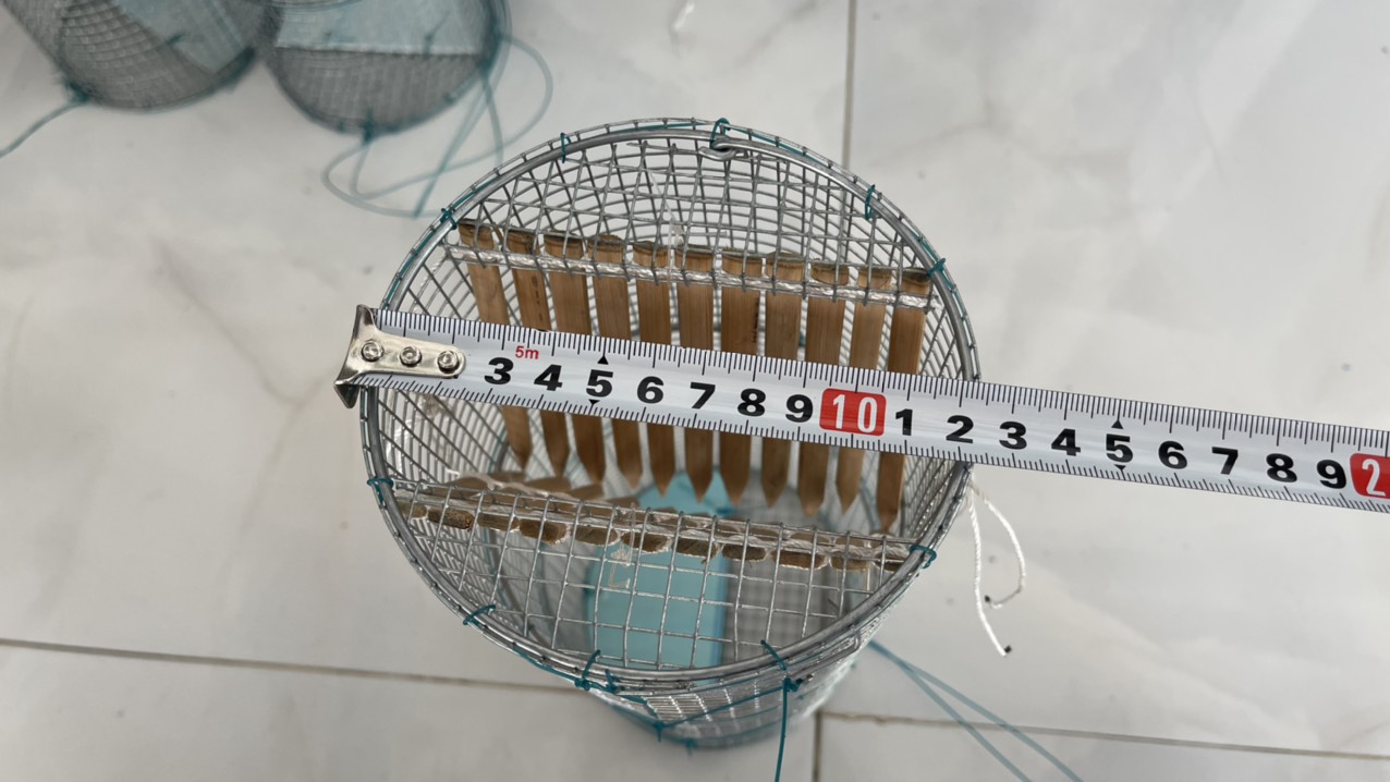 5 Lợp ếch hom tre
